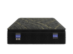 Spring Air Back Supporter Plush EuroTop Mattress