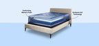 Sealy Posturepedic® Pro Medium Hybrid 13" Profile Mattress