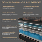 Luxury Sleep 12" Eurotop Hybrid Bed-In-A-Box King Mattress
